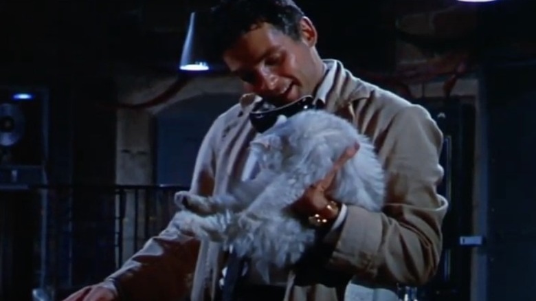 The Fly Andre holding cat