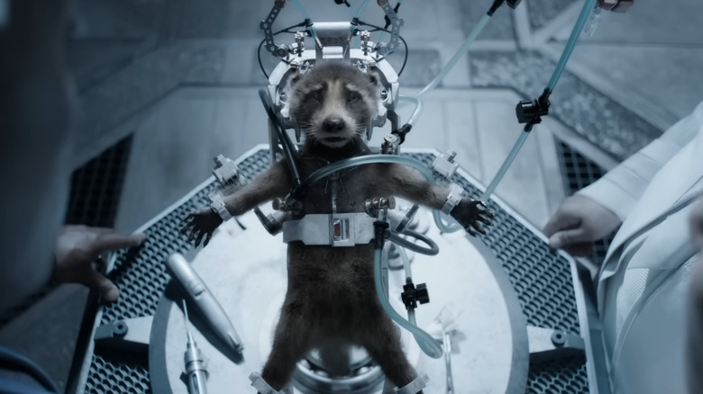 High Evolutionary operating on baby Rocket Raccoon