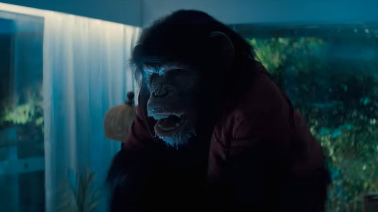 Ben angrily drooling on the dinner table in Primate