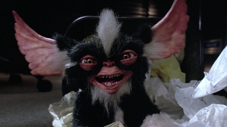 Black and white striped Gremlin