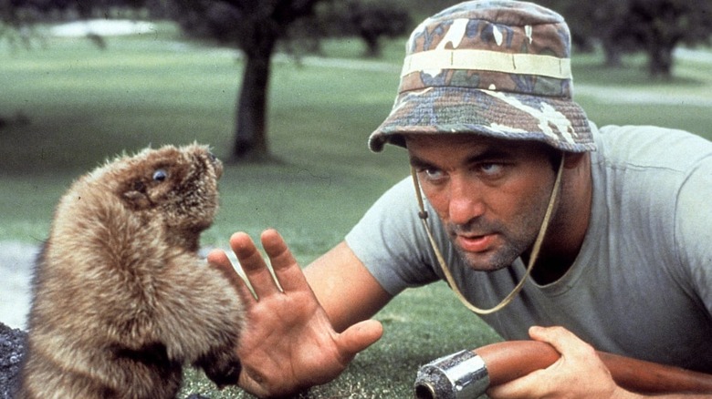 Bill Murray facing off against a gopher