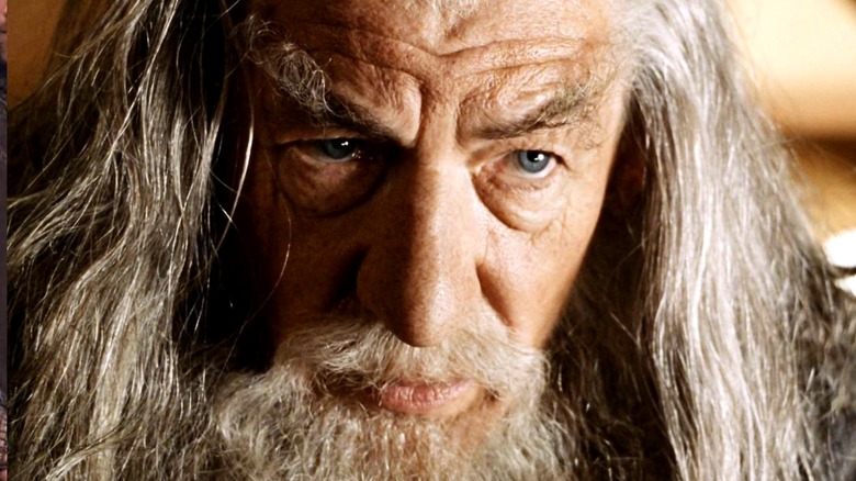 Gandalf in Bag End The Lord of the Rings