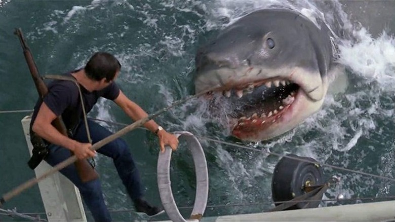 Roy Schneider fights Jaws