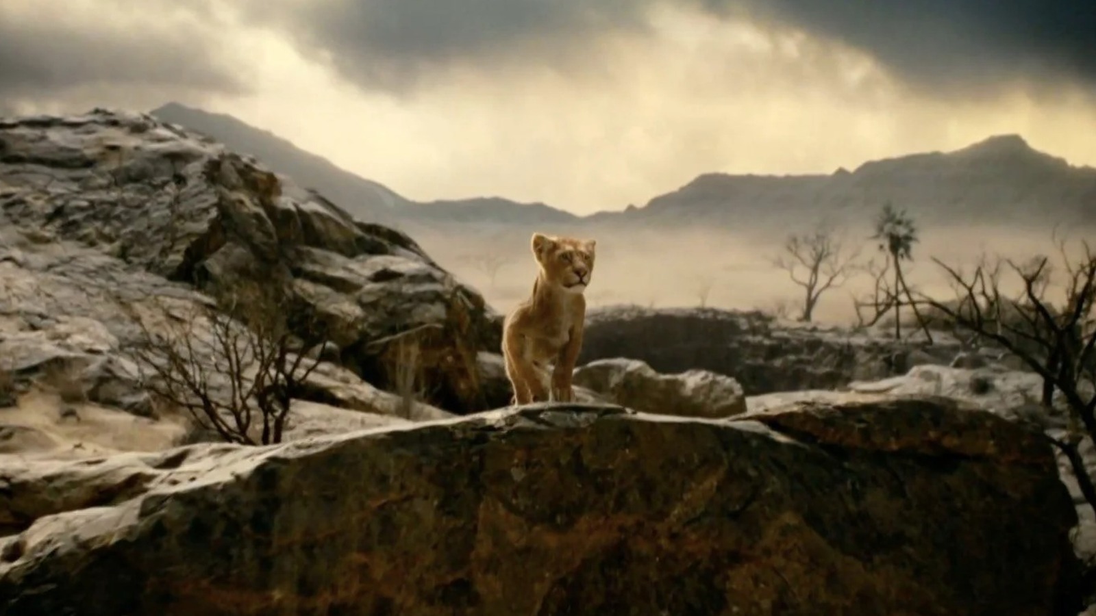 The Lion King Footage Teases A Lion Rags To Lion Riches Story