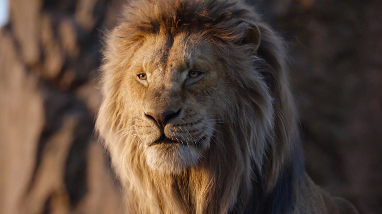 Mufasa in The Lion King