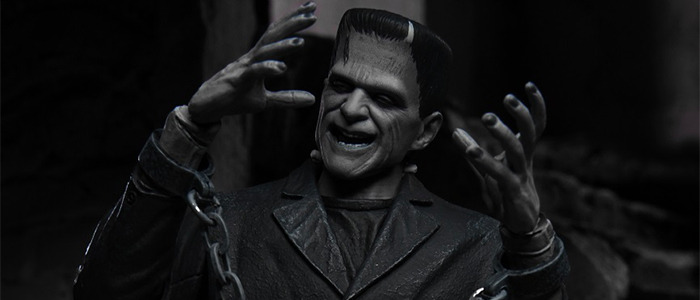 NECA Frankenstein Figure