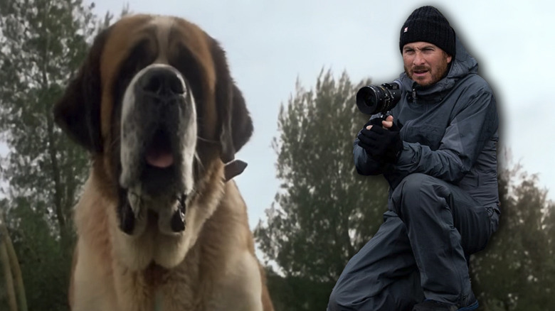 Cujo the dog and Darren Aronofsky