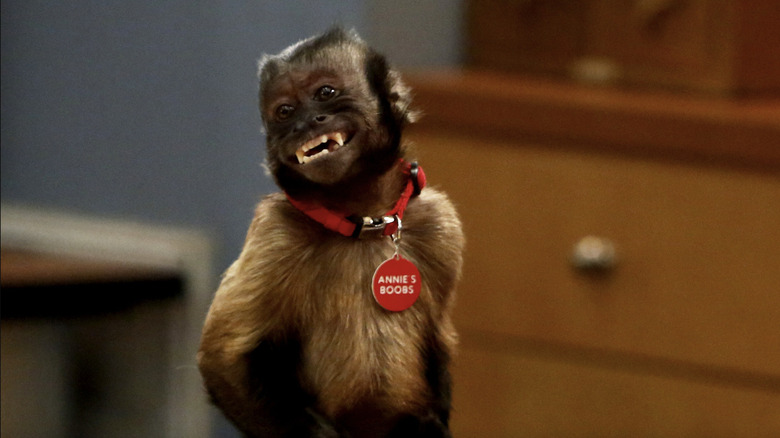 Crystal the monkey in Community