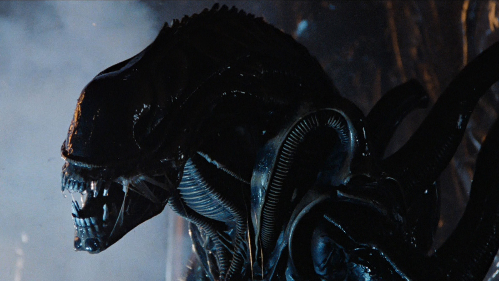 New Alien Movie Coming From Don't Breathe Director Fede Alvarez, Will