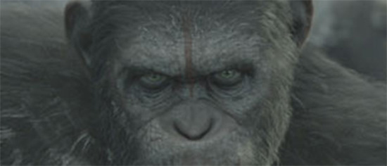 dawn-of-the-planet-of-the-apes-header-3