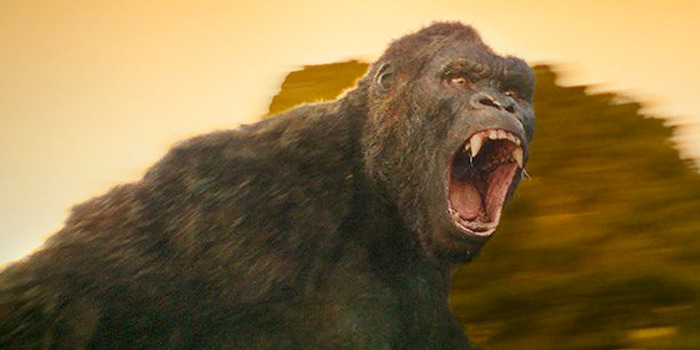 New King Kong