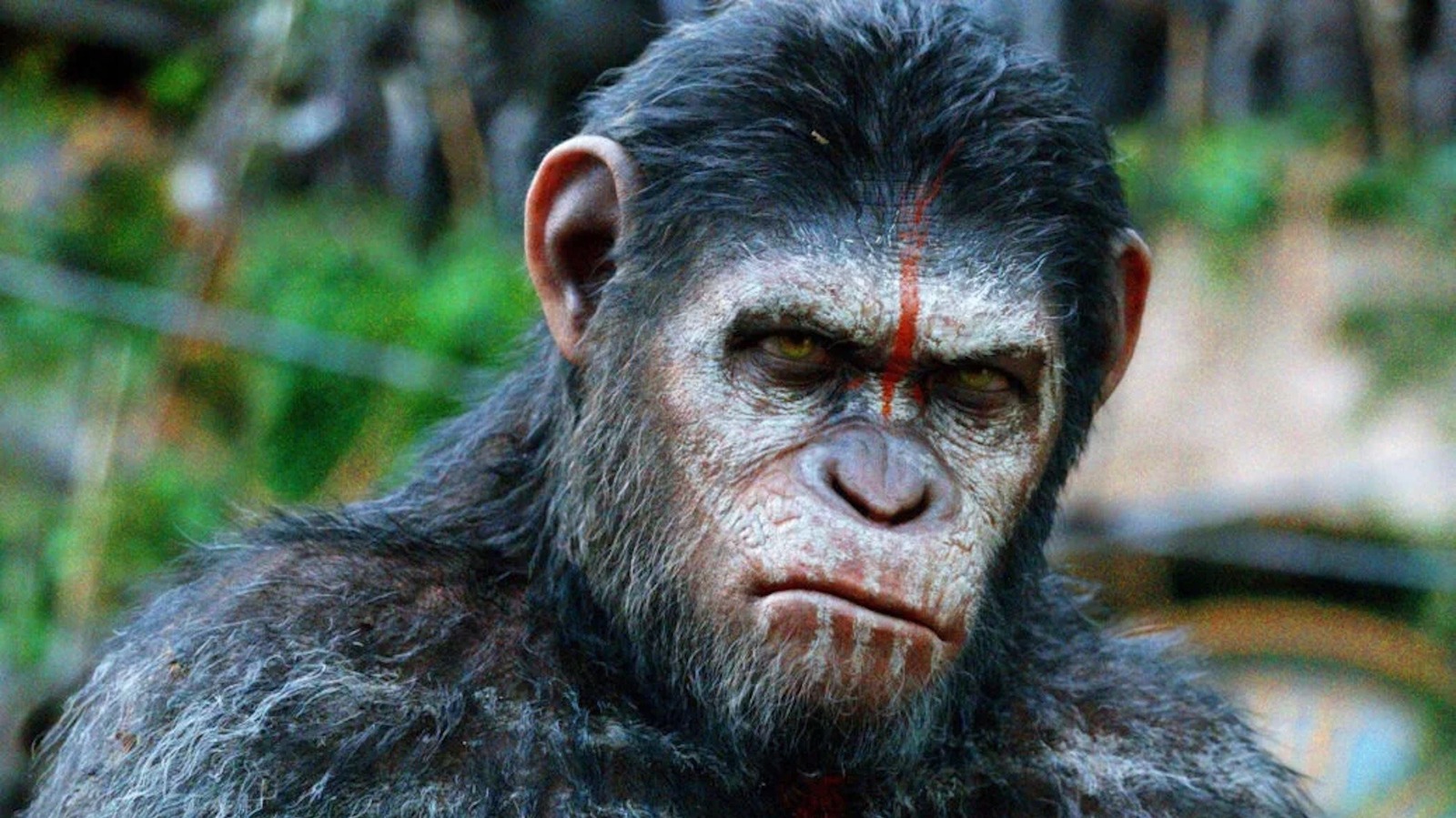 #New Planet Of The Apes Installment Finds Andy Serkis’ Successor In The Stand’s Owen Teague