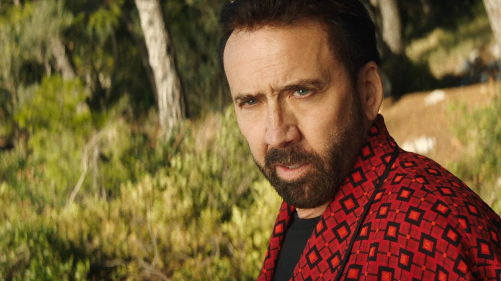 Nicolas Cage Has No Regrets About All Those DirectToVideo Movies