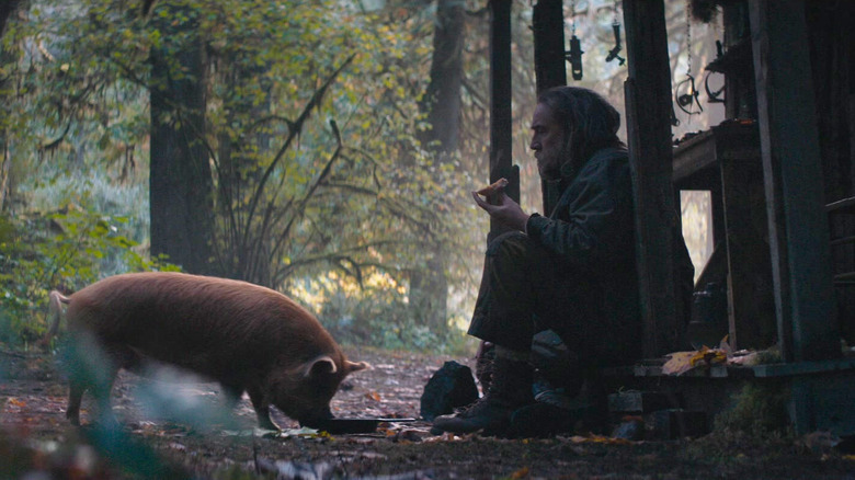 Pig