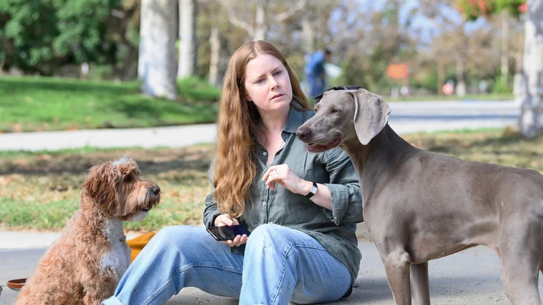 The Mother sits on a curb with two dogs in Nightbitch