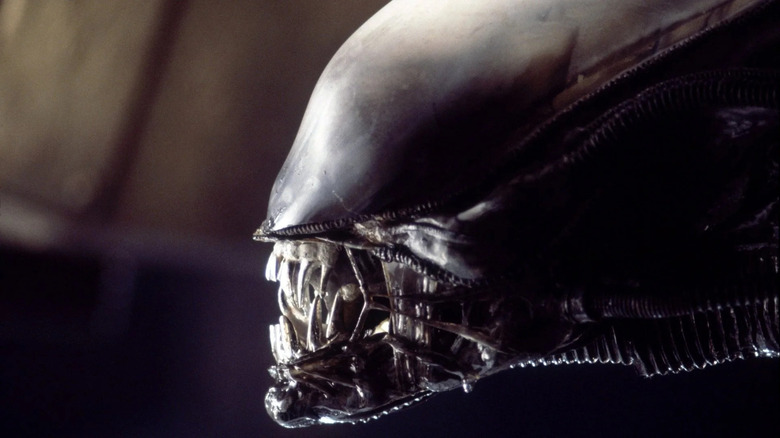 Xenomorph in Alien