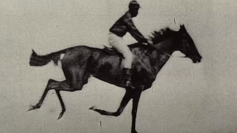 First Motion Picture - Man on a Horse