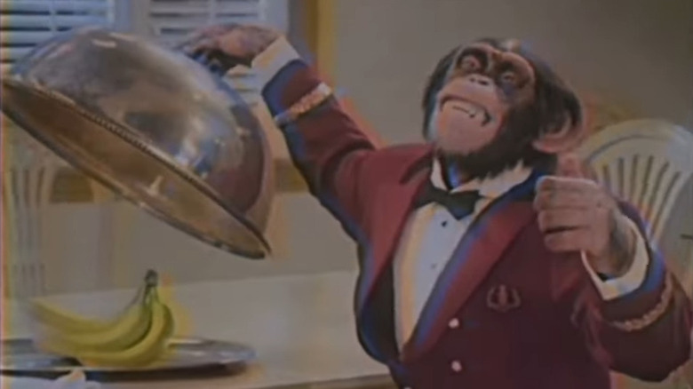 Gordy in a suit from the opening intro to Gordy's Home from Nope