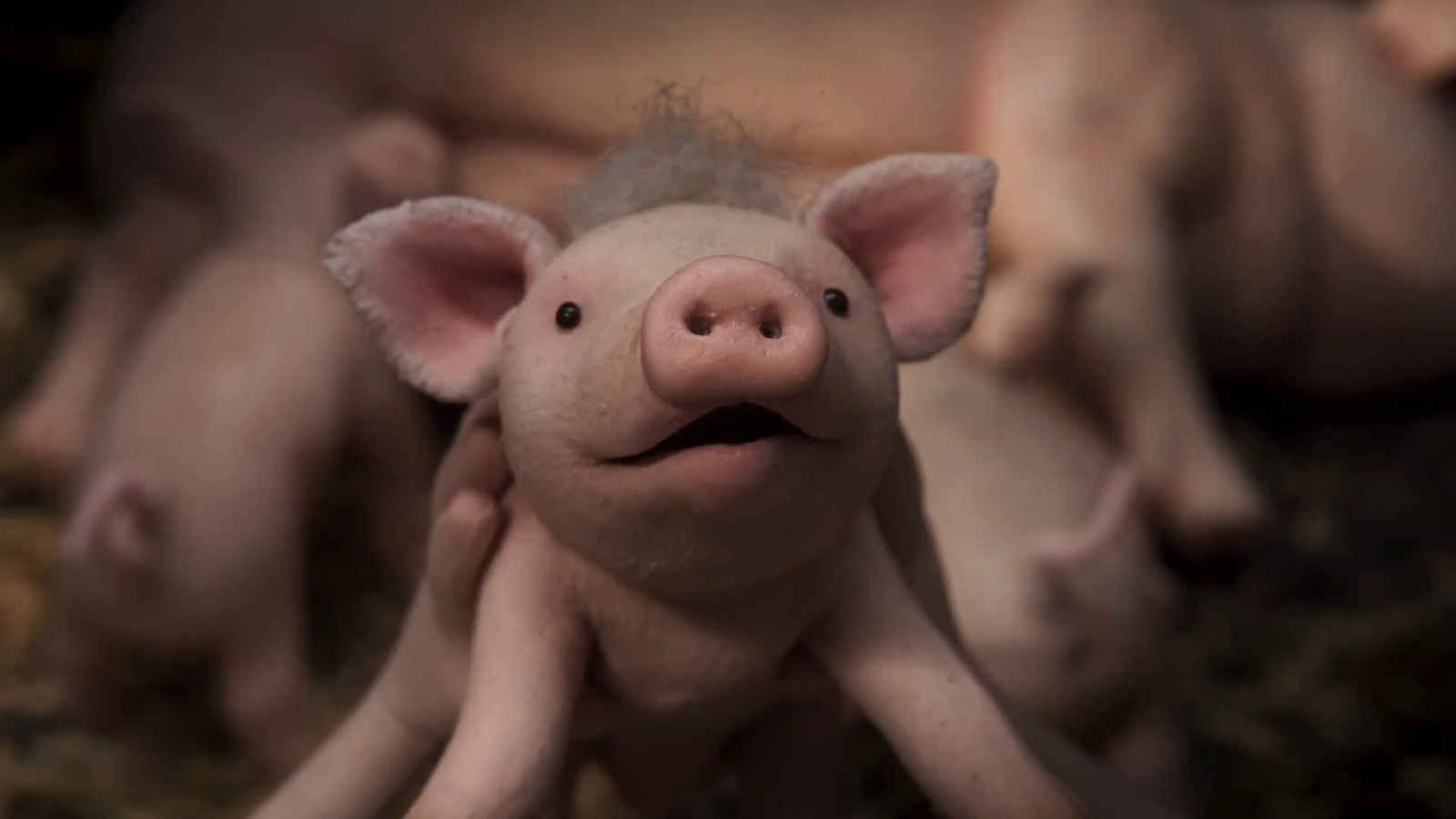 Oink Review An Adorable, Roald DahlInspired StopMotion Film About A