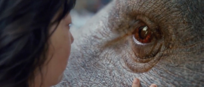 okja trailer