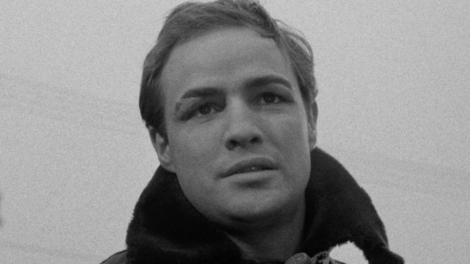 On The Waterfront Ending Explained A Canary In A Coal Mine On The Waterfront Ending Explained A Canary In A Coal Mine