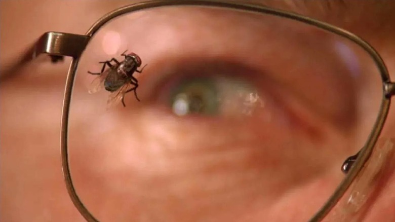 A close-up shot of a fly sitting on the glasses lens of Bryan Cranston as Walter White in Breaking Bad