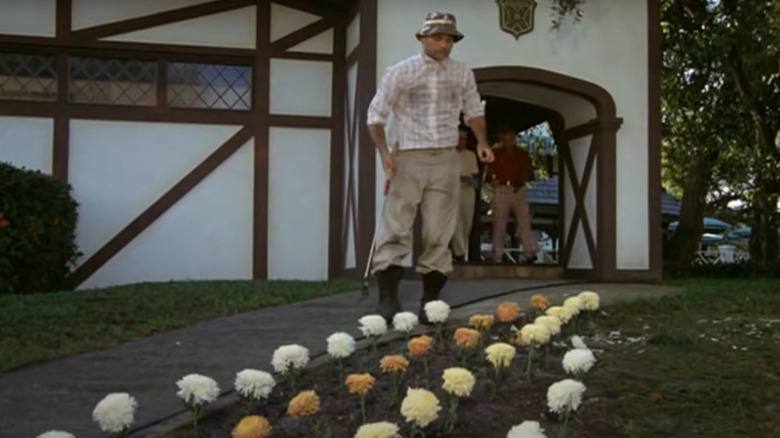 Bill Murray gardening