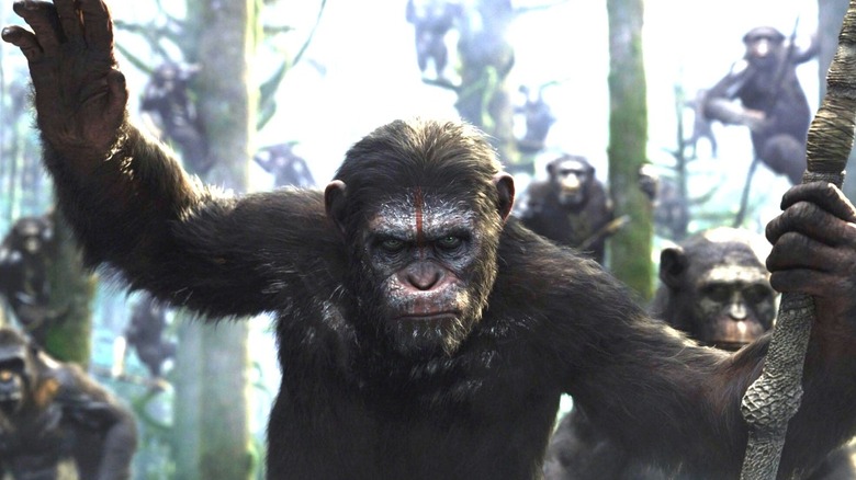 Dawn of the Planet of the Apes - Caesar leading apes on a hunt
