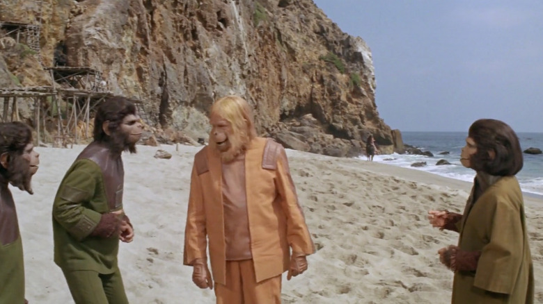 Dr. Zaius, Zira, and some apes discuss what to do about Taylor in Planet of the Apes