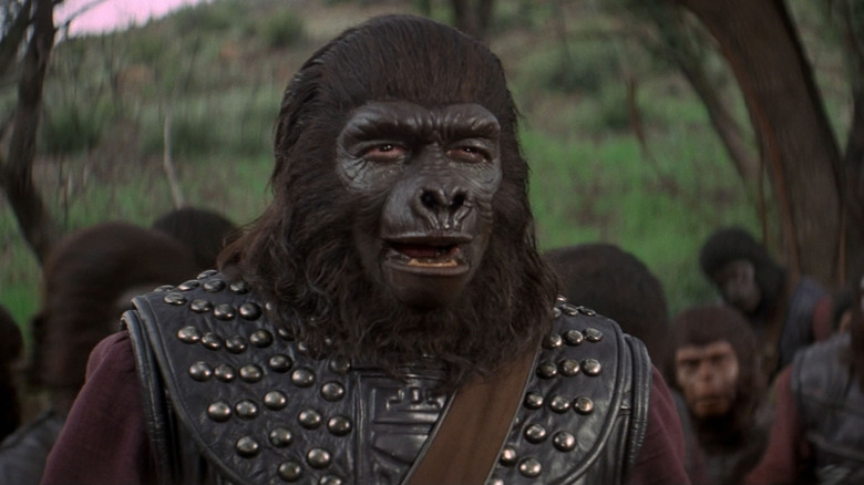 Battle for the Planet of the Apes park