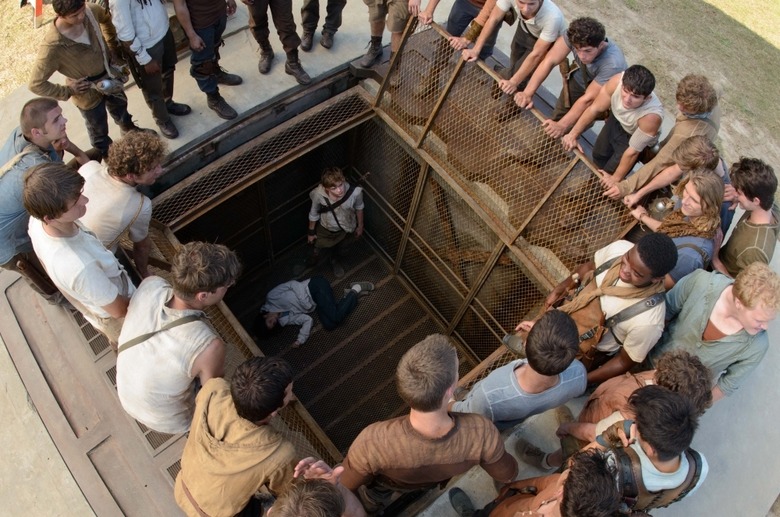 The Maze Runner