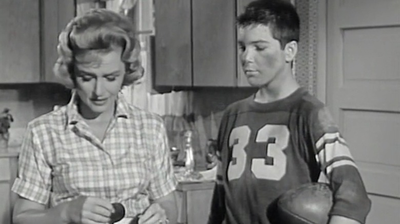 Donna Reed, Paul Petersen, The Donna Reed Show