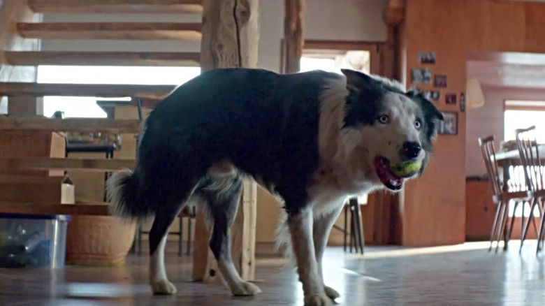 Messi in Anatomy of a Fall