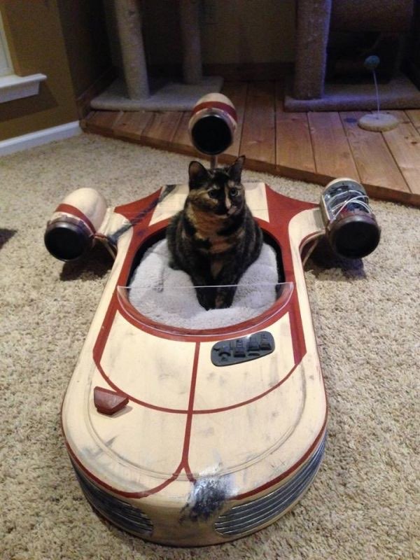 Landspeeder Cat Bed