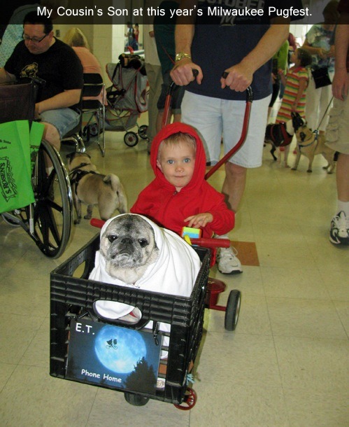 Elliott And Pug E.T. Cosplay