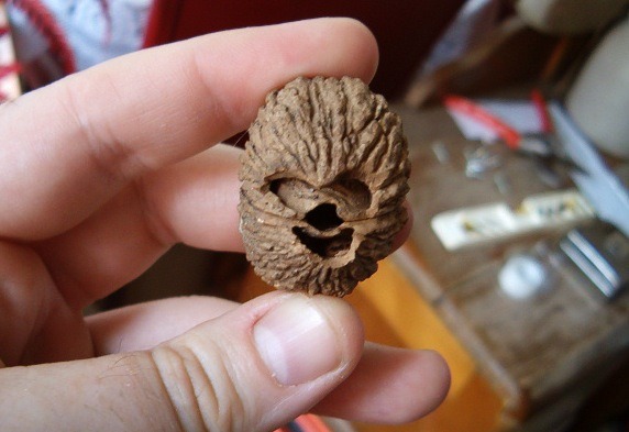 Walnut That Looks Like Chewbacca From 'Star Wars'