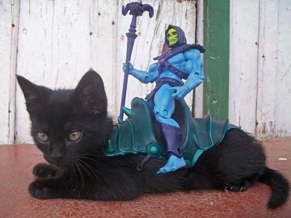 Panthor And Skeletor: The Early Years
