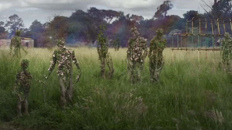 Human-shaped trees surrounded by grass in Annihilation