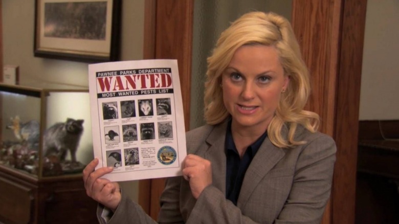 Amy Poelher, Parks and Recreation