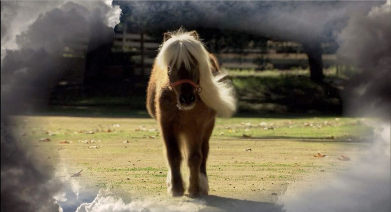 Lil Sebastian Cameo