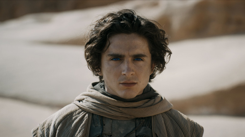 Paul Atreides staring intensely into the desert on Arrakis in Dune: Part Two