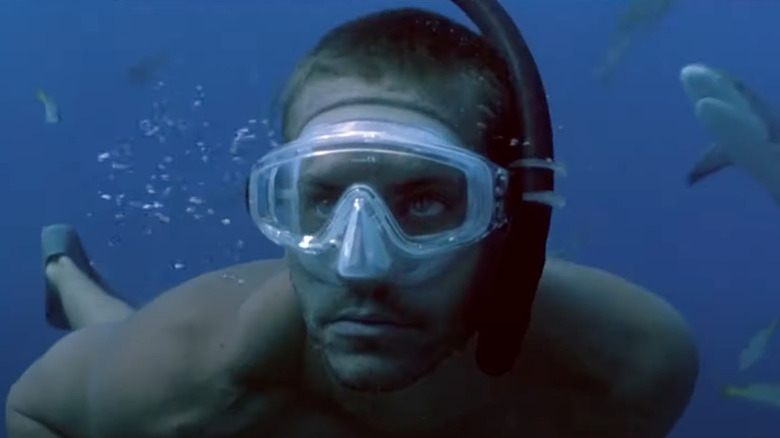 Jared snorkles