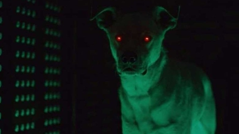 Krypto