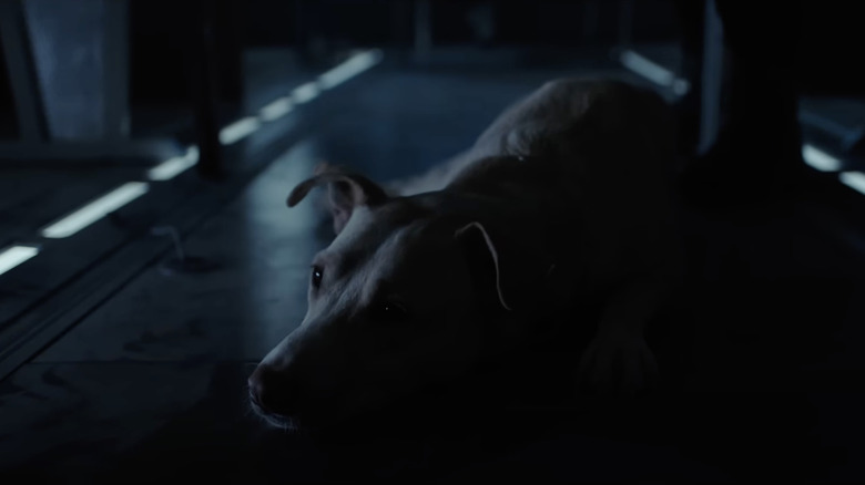 Krypto
