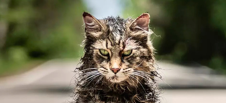 pet sematary first look