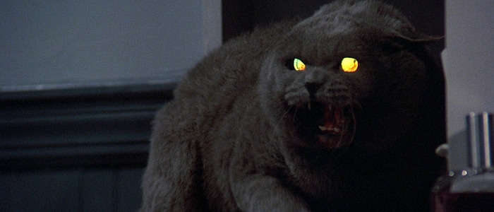 pet sematary remake screenwriter