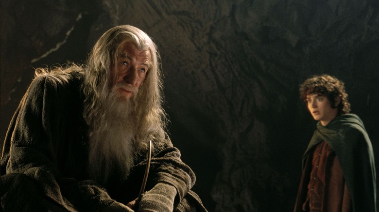 Ian McKellen and Elijah Wood in The Lord of the Rings: The Fellowship of the Ring