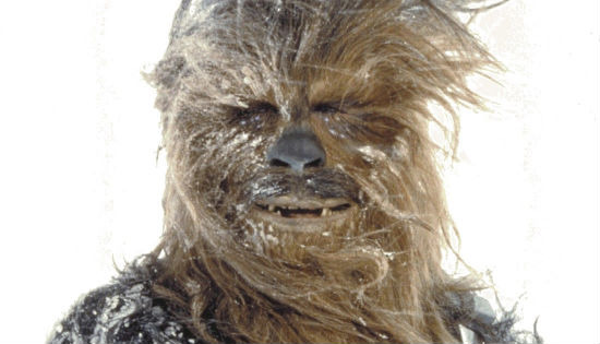 peter mayhew star wars 7 Chewbacca