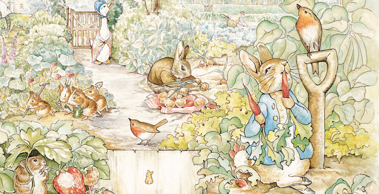 Peter Rabbit First Look Photo