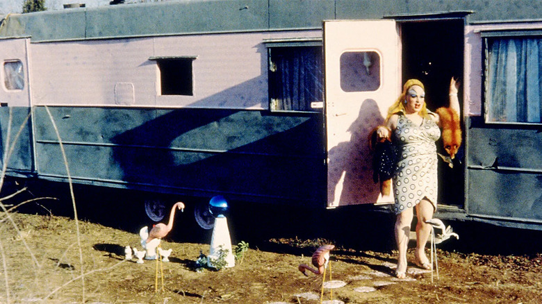 Pink Flamingos Divine trailer